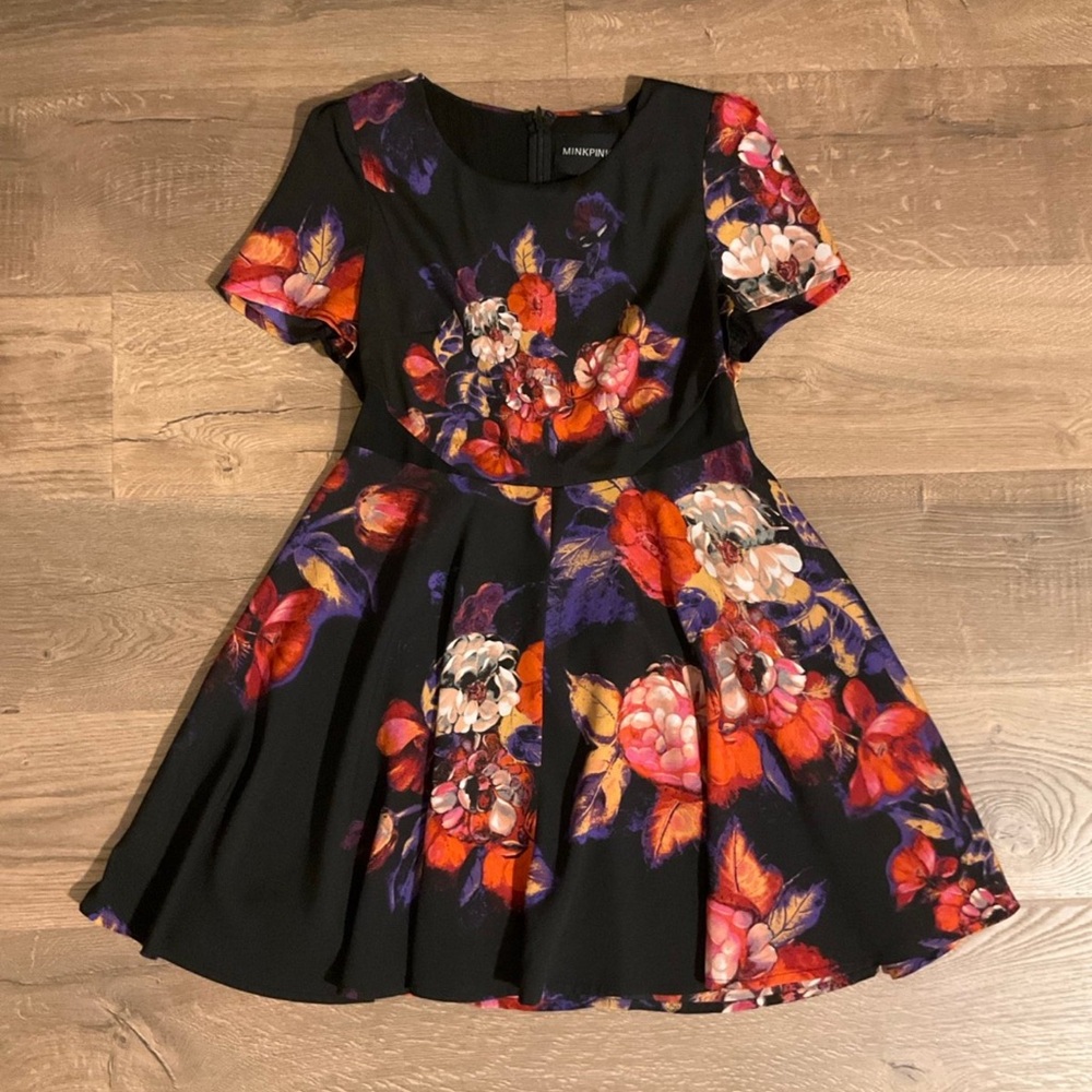 Mink Pink black, red, pink floral mini Dress with sheer side panels, M